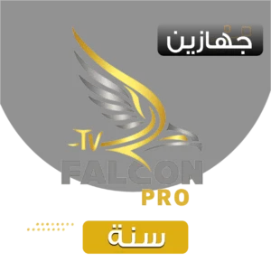 اشتراك فالكون سنوي